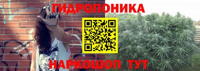 гидра Тверь