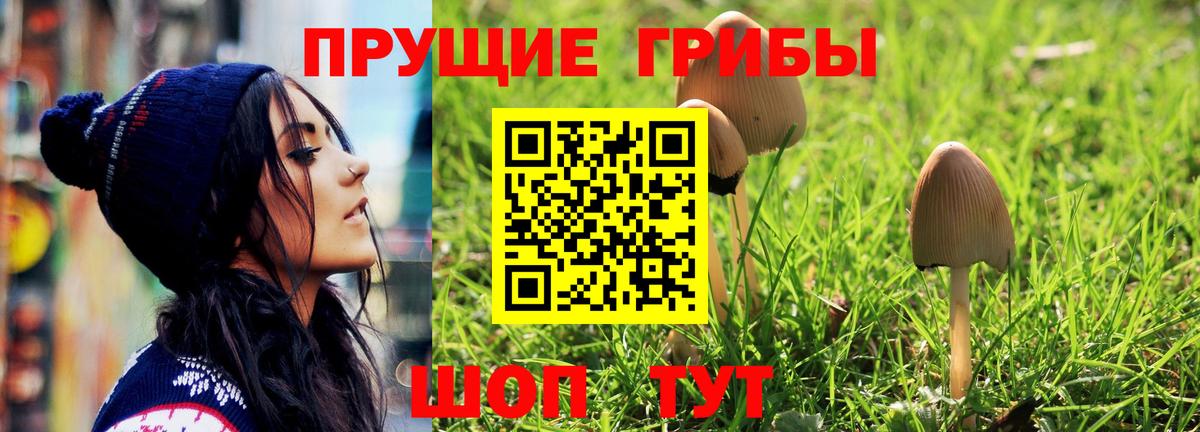 Псилоцибиновые грибы Psilocybe Рыбинск